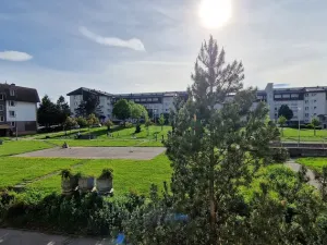 Pronájem bytu 2+1, Ostrava - Dubina, Františka Formana, 47 m2