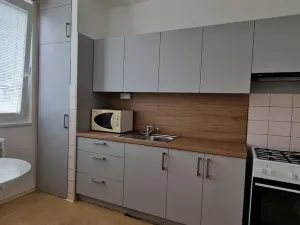 Pronájem bytu 2+1, Ostrava - Dubina, Františka Formana, 47 m2