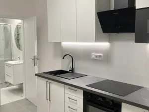 Prodej bytu 2+1, Praha - Nusle, U družstva Ideál, 47 m2