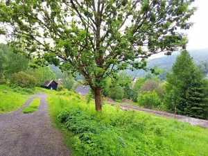 Prodej pozemku pro bydlení, Desná, Hutní, 2111 m2