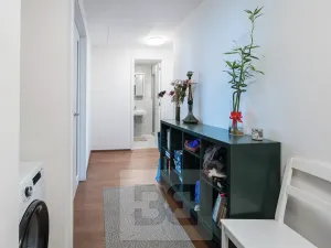 Prodej bytu 2+kk, Praha - Holešovice, Jankovcova, 63 m2