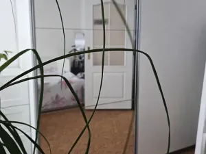 Pronájem bytu 2+1, Zákolany, 82 m2