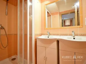 Pronájem bytu 2+kk, Tábor, Třebízského, 60 m2