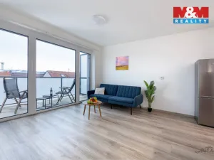 Prodej bytu 1+kk, České Budějovice - České Budějovice 6, Chelčického, 32 m2