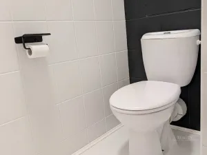 Pronájem bytu 2+1, Mladá Boleslav - Mladá Boleslav III, U Kasáren, 56 m2