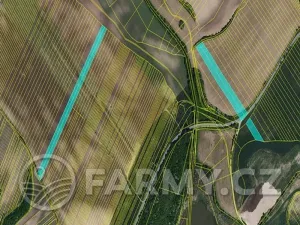 Prodej pole, Čejkovice, 194311 m2