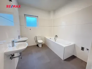 Pronájem bytu 4+kk, Králův Dvůr, Na Vinohradech, 95 m2