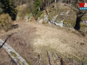 Prodej louky, Vysoká, 1003 m2