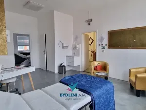 Pronájem ordinace, Teplice, Plynárenská, 90 m2