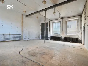 Prodej obchodního prostoru, Kolín, Pražská, 600 m2