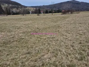 Prodej pozemku pro bydlení, Velká Bukovina, 1263 m2