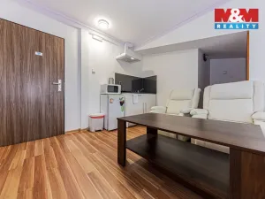 Pronájem bytu 1+kk, Čáslav - Čáslav-Staré Město, Klimenta Čermáka, 27 m2