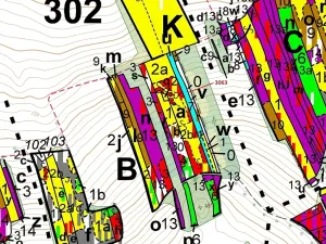 Dražba lesa, Koloveč, 703 m2