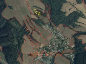 Dražba louky, Zábřeh, 2481 m2