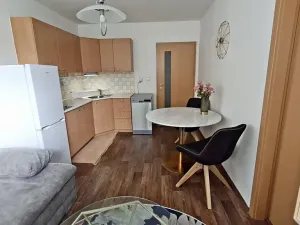 Prodej bytu 2+kk, Praha - Černý Most, Bryksova, 39 m2