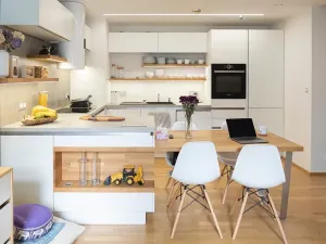 Pronájem bytu 2+kk, Praha - Žižkov, Olšanská, 69 m2