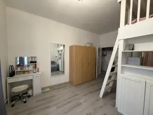 Pronájem bytu 1+1, Praha - Libeň, Drahobejlova, 48 m2