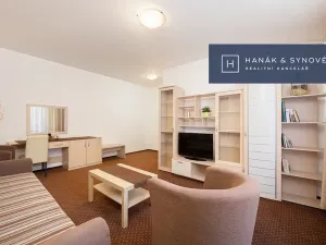 Pronájem bytu 2+1, Brno, Anenská, 52 m2