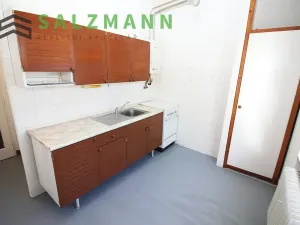 Pronájem bytu 1+1, Plzeň, Blatenská, 38 m2