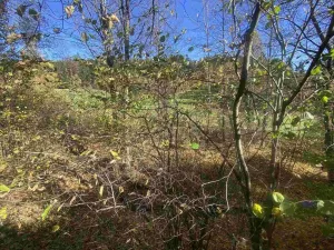 Prodej pozemku, Lučany nad Nisou - Jindřichov, 449 m2