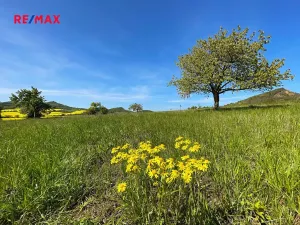 Prodej pozemku pro bydlení, Podsedice, 4847 m2