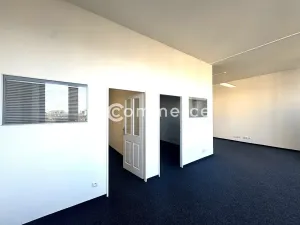 Pronájem kanceláře, Brno, Veveří, 61 m2