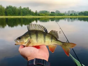 Prodej chaty, Horní Planá, 126 m2