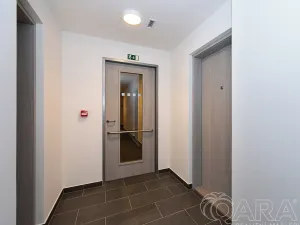 Prodej bytu 1+kk, Praha - Hloubětín, Poděbradská, 32 m2