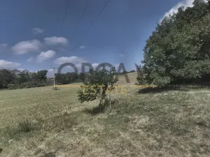 Prodej podílu pole, Napajedla, 944 m2