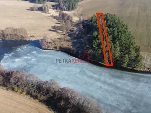 Prodej lesa, Čistá, 1294 m2