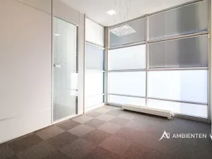 Pronájem kanceláře, Brno, 248 m2
