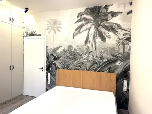 Pronájem bytu 2+kk, Praha - Žižkov, Blahníkova, 51 m2