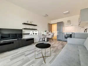 Pronájem bytu 1+kk, Praha - Hloubětín, Laponská, 34 m2