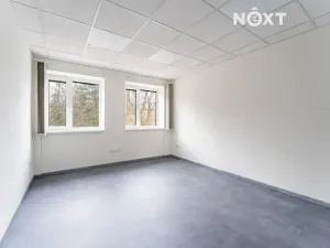 Pronájem kanceláře, Zábřeh, Na Řádkách, 17 m2
