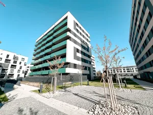 Pronájem bytu 2+kk, Praha - Žižkov, Olgy Havlové, 52 m2