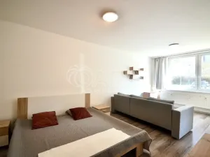 Prodej bytu 1+1, Milovice, Višňová, 42 m2