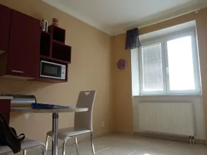 Pronájem bytu 1+1, Brno, Slatinská, 48 m2