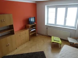 Pronájem bytu 1+1, Brno, Slatinská, 48 m2