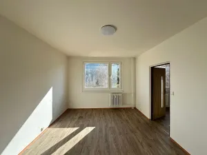 Pronájem bytu 1+1, Děčín, Na Pěšině, 36 m2
