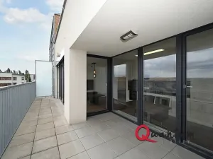 Pronájem bytu 1+kk, Praha - Dejvice, Lindleyova, 59 m2