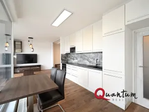 Pronájem bytu 1+kk, Praha - Dejvice, Lindleyova, 59 m2