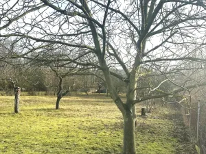 Prodej pozemku pro bydlení, Oskořínek, Ronovská, 1594 m2