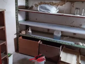 Prodej rodinného domu, Telč, Havlíčkova, 200 m2