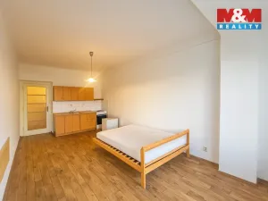 Pronájem bytu 1+kk, Praha - Nusle, V Horkách, 25 m2