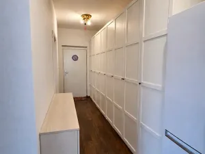 Pronájem bytu 2+kk, Holubice, Lesní, 51 m2