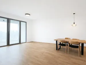 Pronájem bytu 3+kk, Praha - Karlín, Breitfeldova, 80 m2