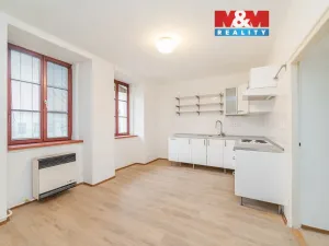 Pronájem bytu 2+1, Náměšť nad Oslavou, Zámek, 61 m2