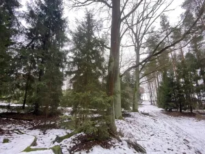 Prodej pozemku, Veliny, 180 m2