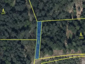 Prodej pozemku, Veliny, 180 m2