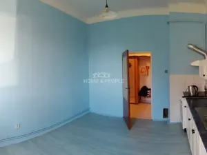 Prodej bytu 2+1, Cheb, Americká, 85 m2